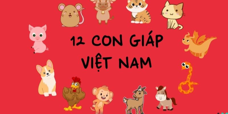 Kinh nghiệm hữu ích trong lô đề của 12 con giáp